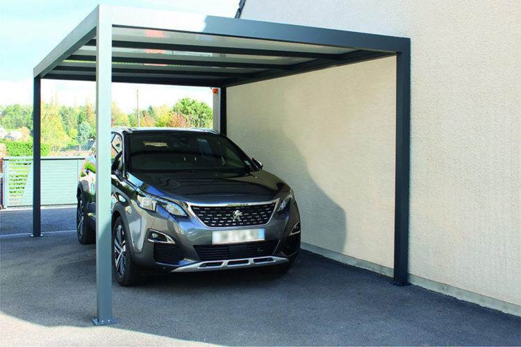 carpot_1 carpot_1